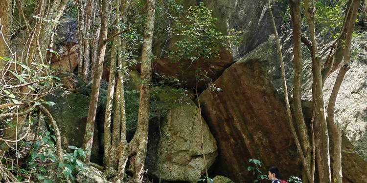 深圳园山：这一年里去了又去的地方。_6_芝芝椰椰果丹皮_来自小红书网页版