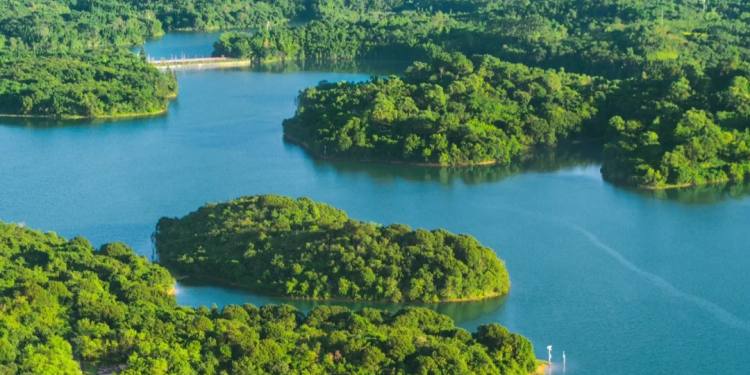 在深圳❗️在深圳❗️不是在千岛湖⛰️_8_日常日常