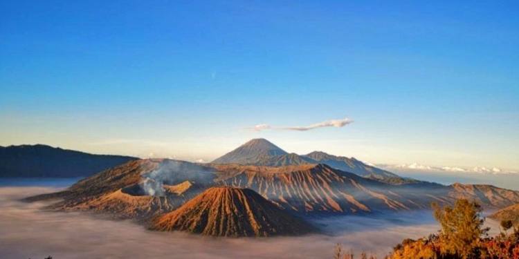 processed_mmexport1721458587896