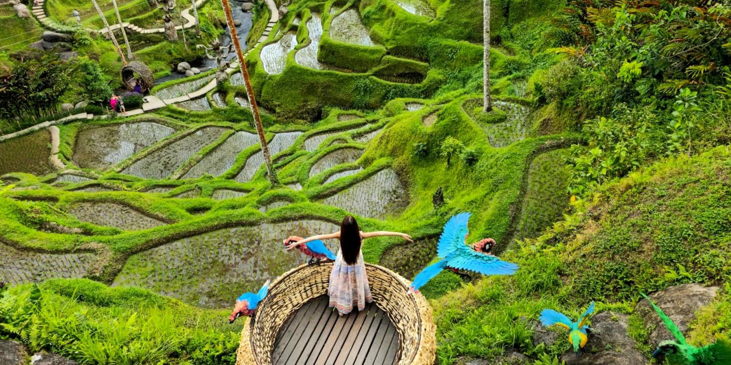 processed_mmexport1721460297757