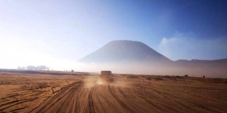 processed_mmexport1721458587809