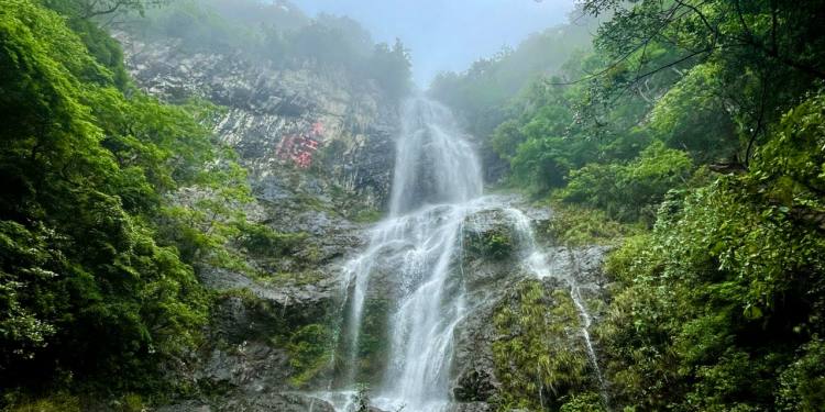 processed_mmexport1757203231105